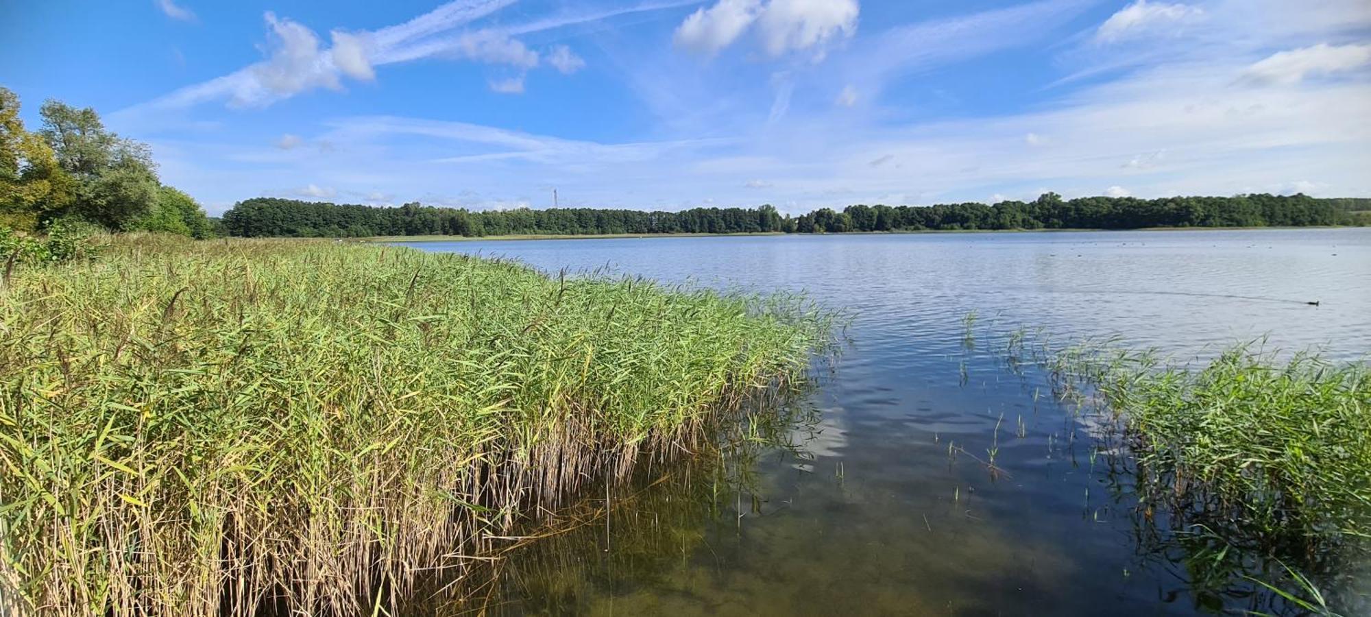 Ferienhof Am Kaebelicksee Kratzeburg Exterior foto